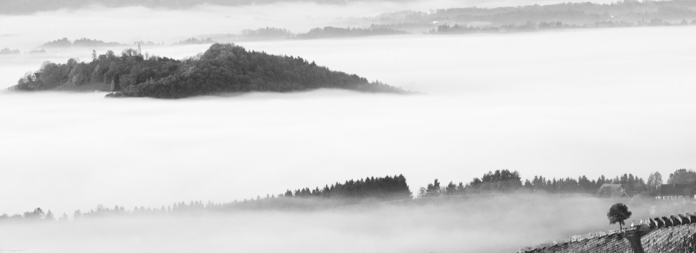 nebel im tal