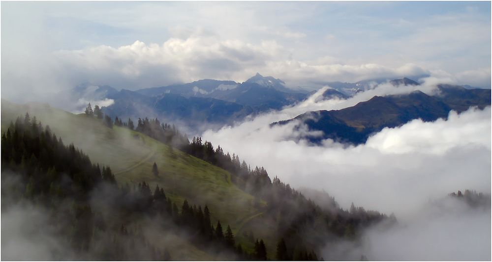 Nebel im Tal