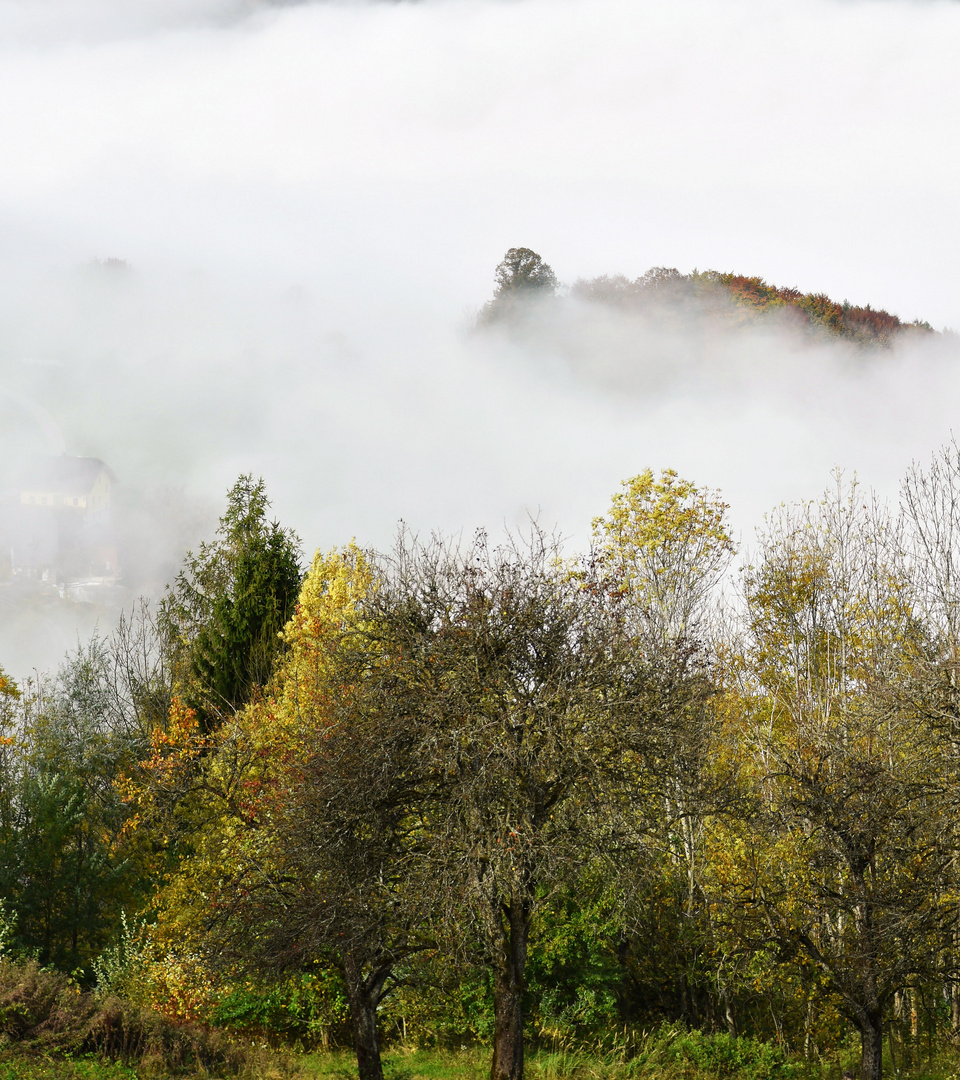 Nebel im Tal