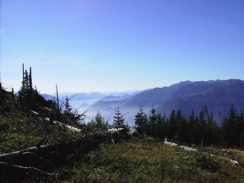 Nebel im Tal