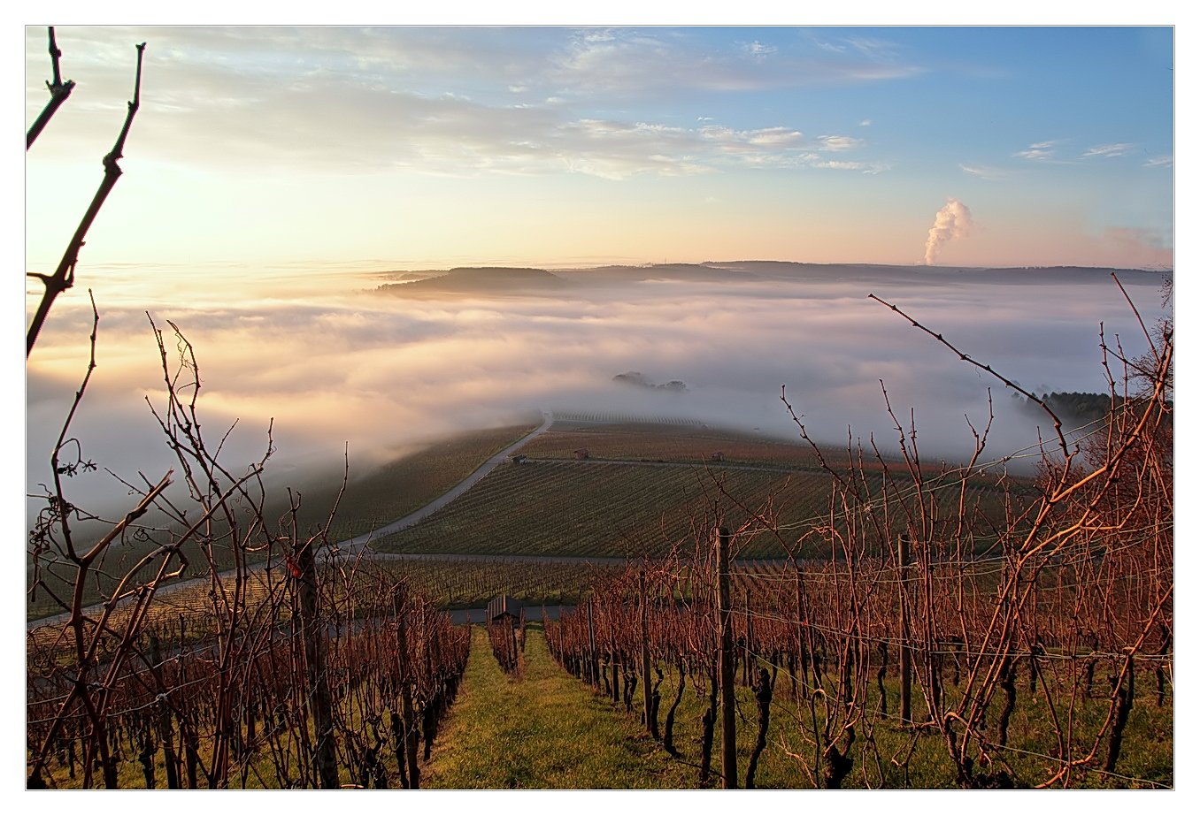 Nebel im Tal