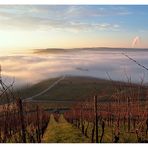 Nebel im Tal