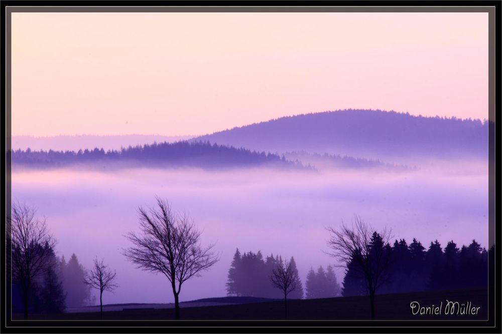 Nebel im Tal