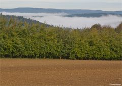 Nebel im Tal...