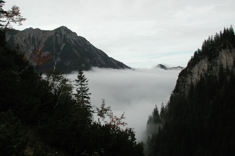 Nebel im Tal