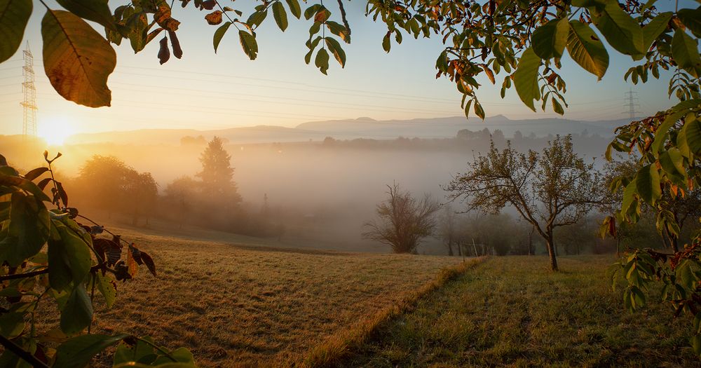 *** Nebel im Tal ***