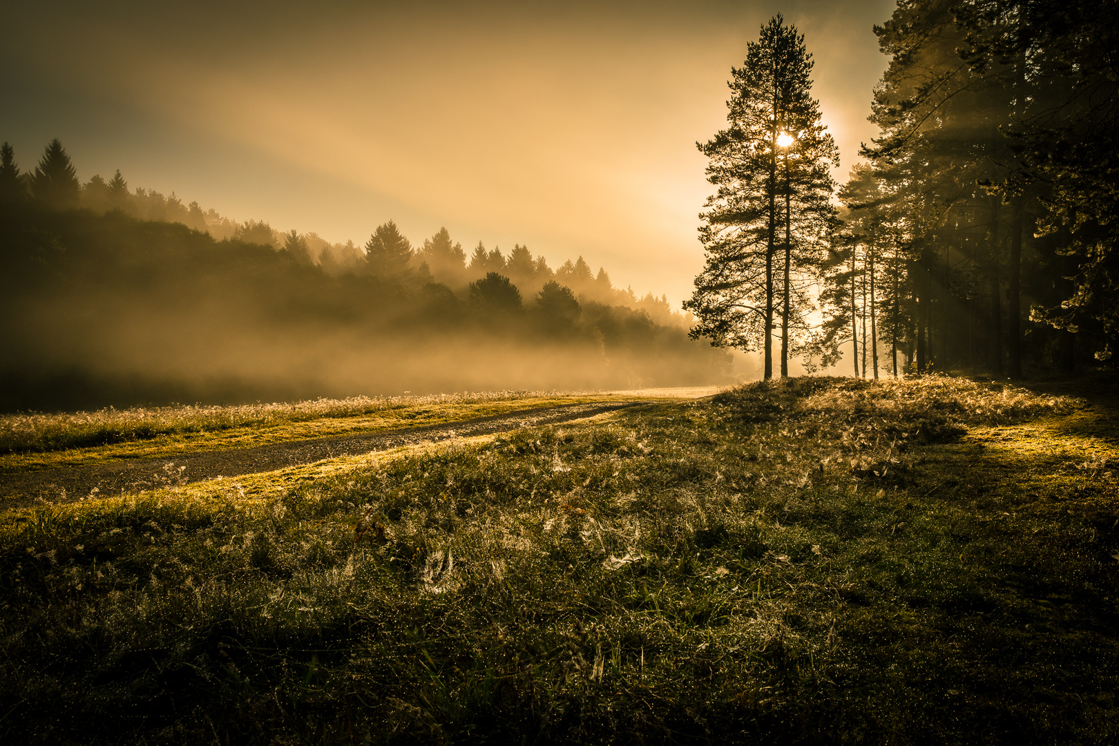 Nebel im Tal