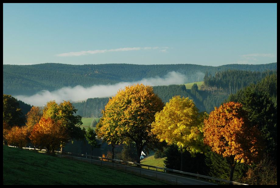 Nebel im Tal