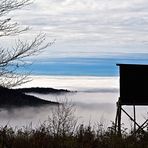 Nebel im Tal