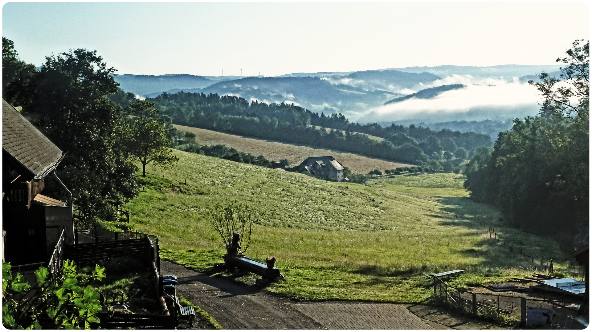 Nebel im Tal