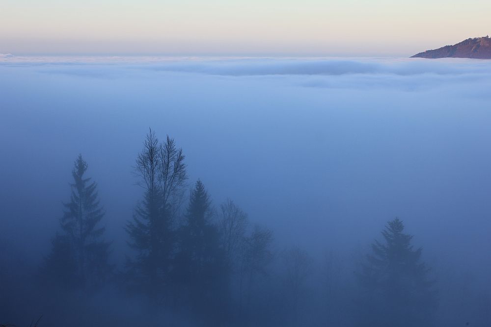 Nebel im Tal