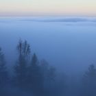 Nebel im Tal