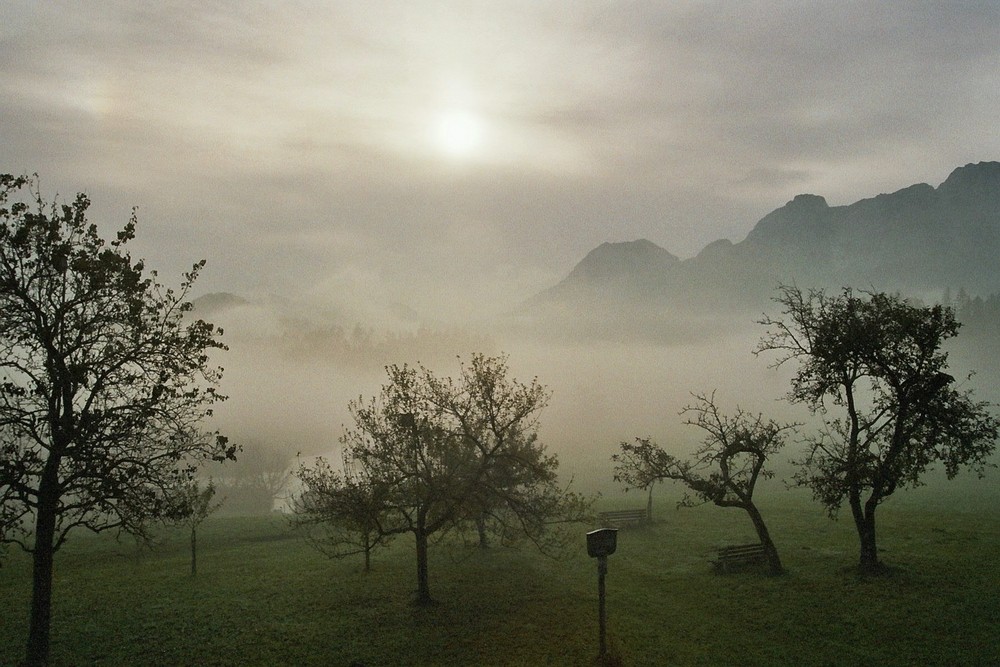 Nebel im Tal