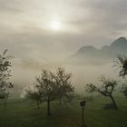 Nebel im Tal