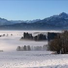 Nebel im Tal