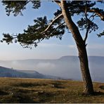 Nebel im Tal