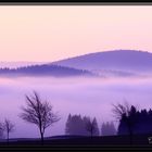 Nebel im Tal