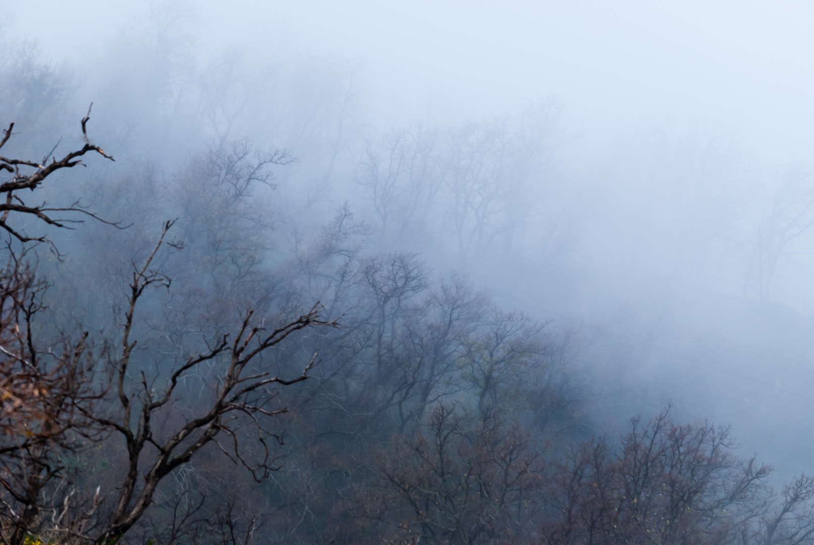 Nebel im Tal