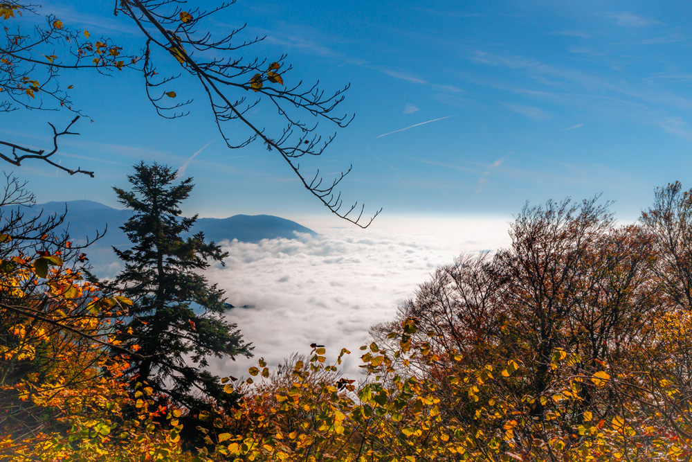 Nebel im Tal