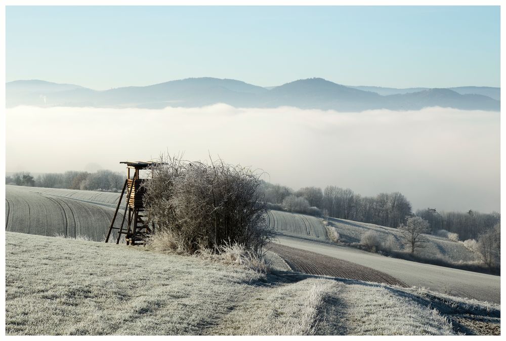 Nebel im Tal