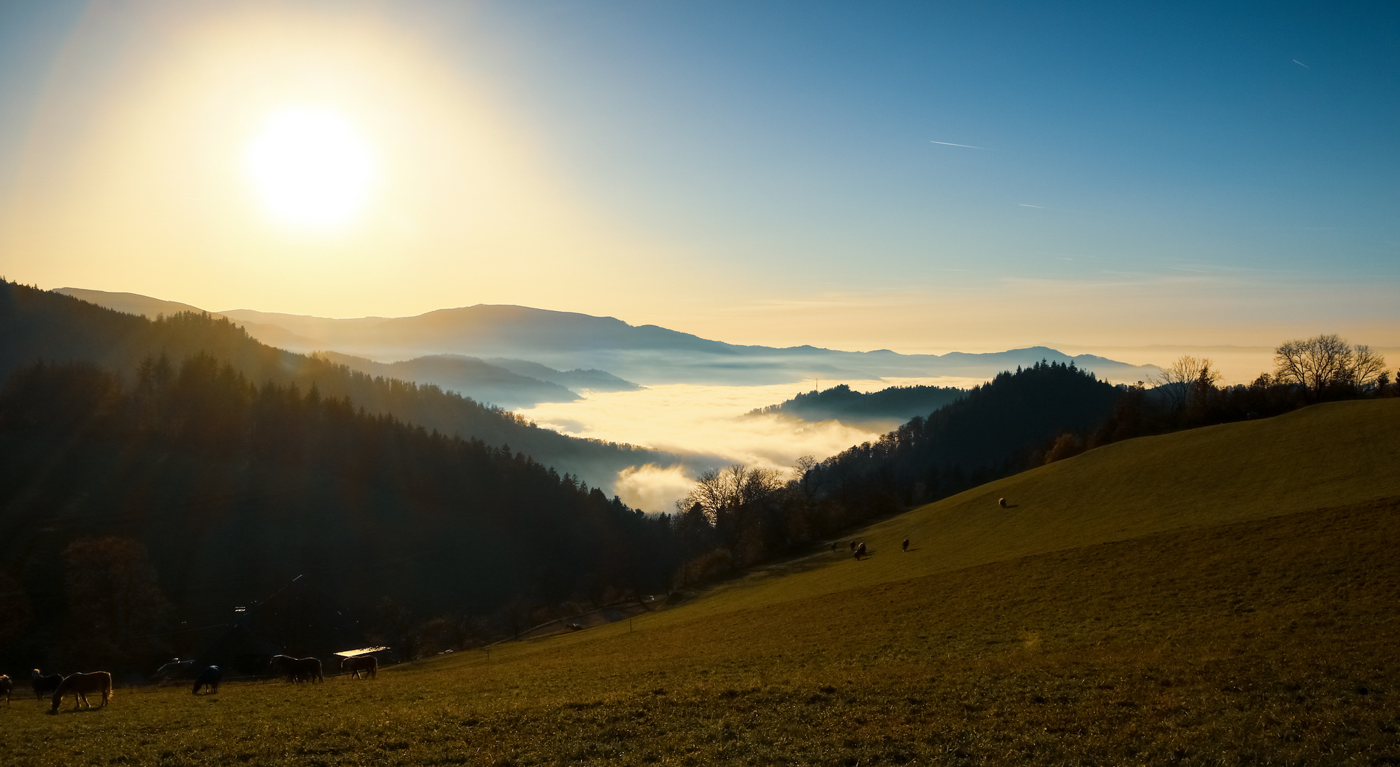 Nebel im Tal