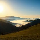 Nebel im Tal