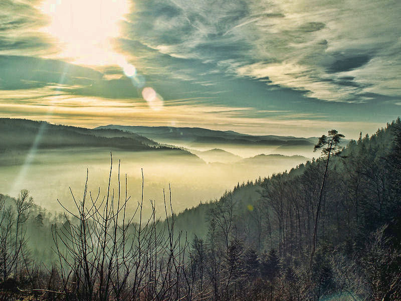 Nebel im Tal