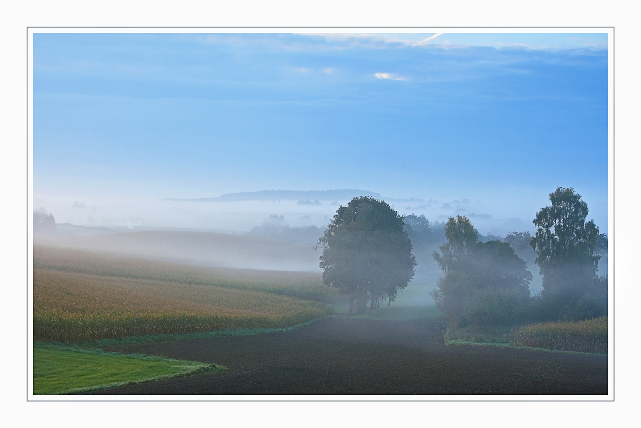 Nebel im Tal