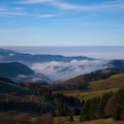 Nebel im Tal