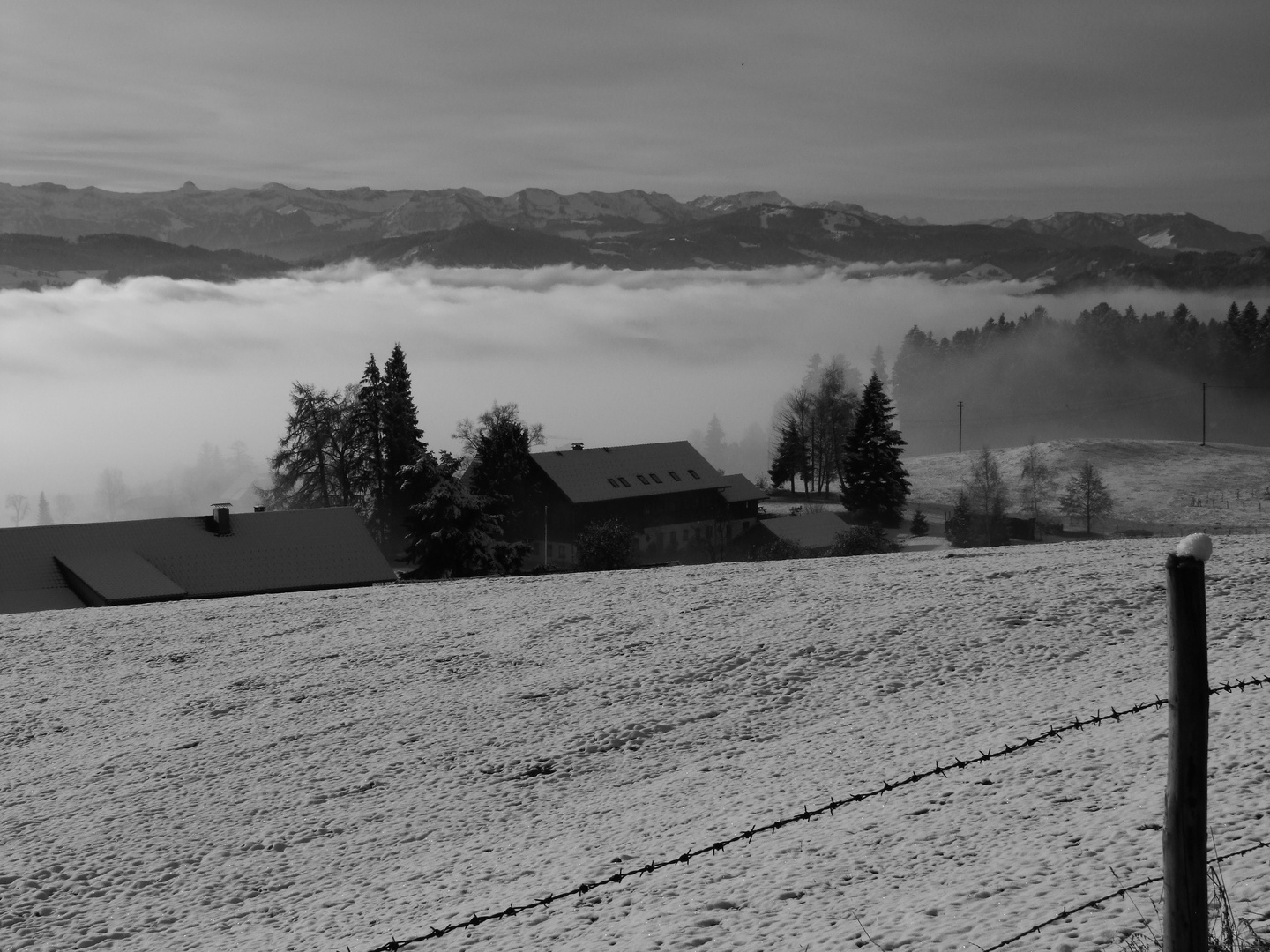 Nebel im Tal