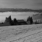 Nebel im Tal