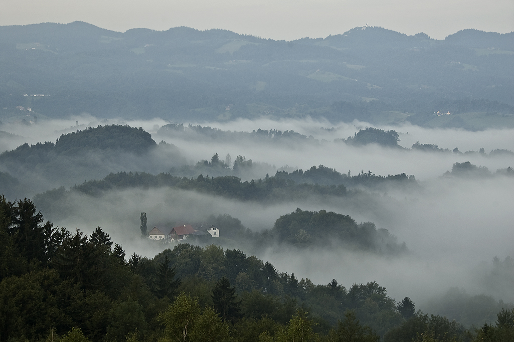 Nebel im Tal