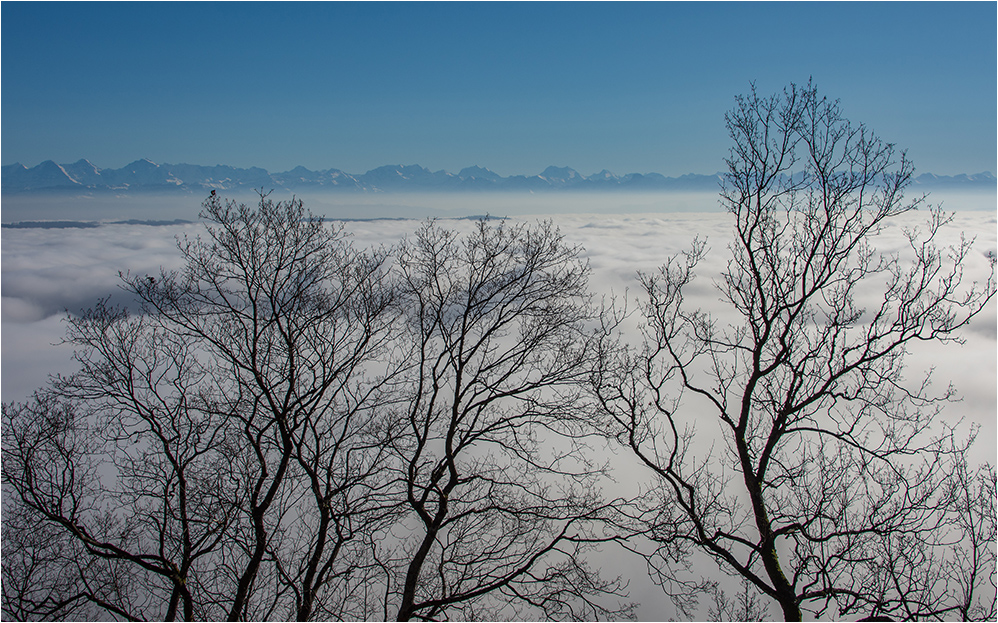 Nebel im Tal