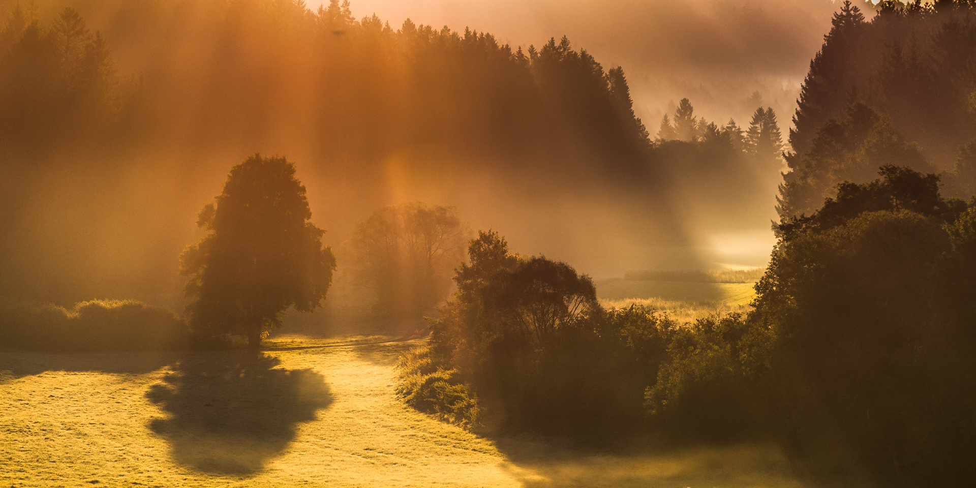 Nebel im Tal