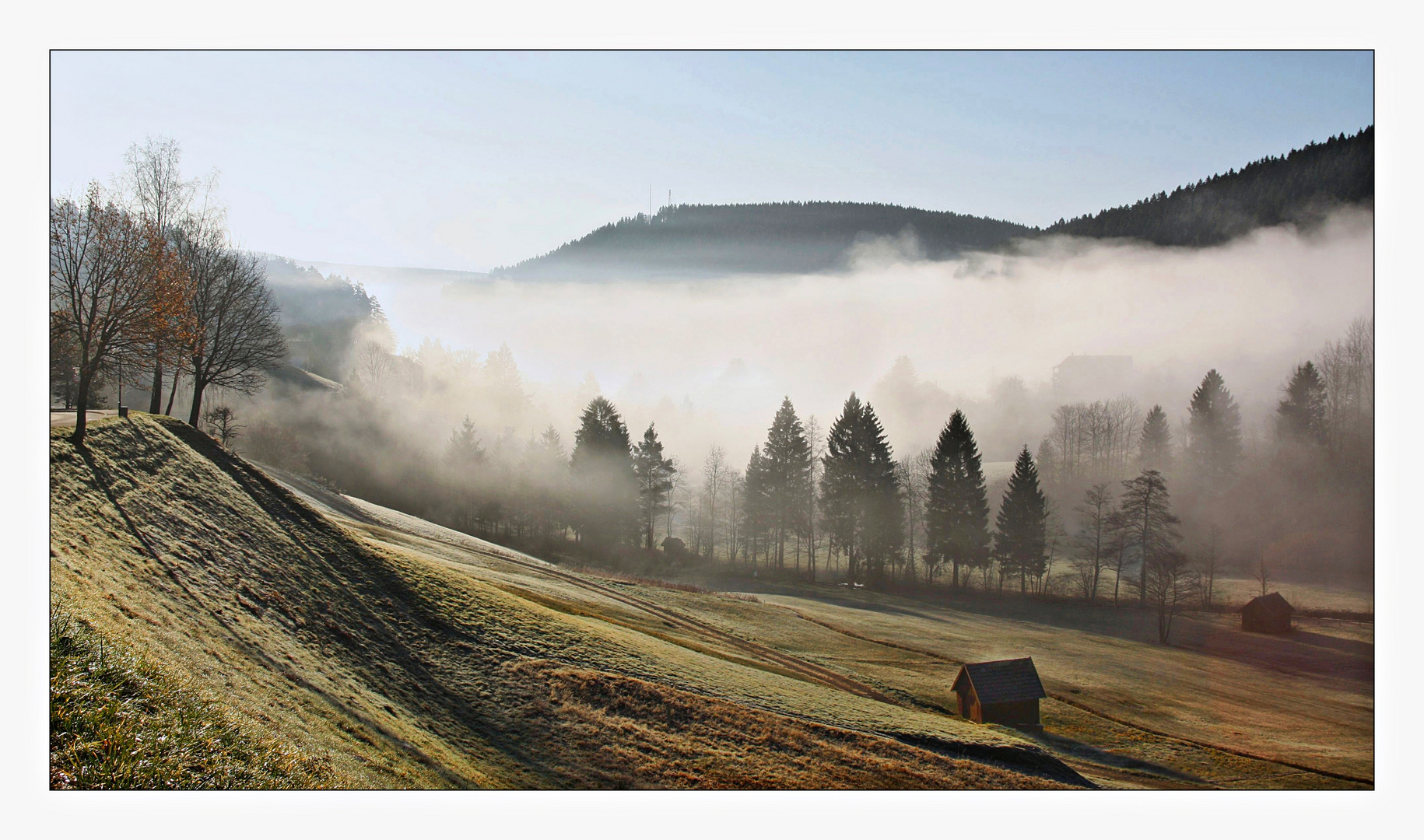 Nebel im Tal