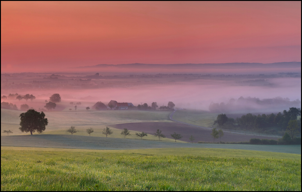 Nebel im Tal