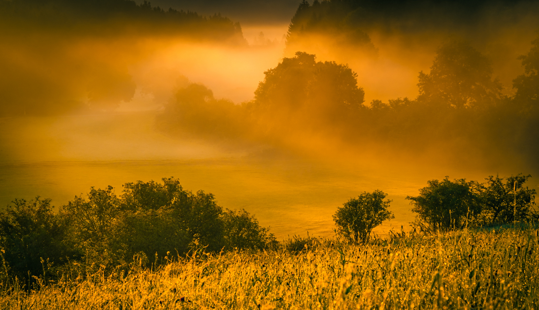 Nebel im Tal