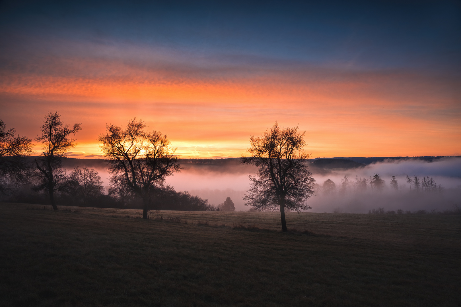 Nebel im Tal