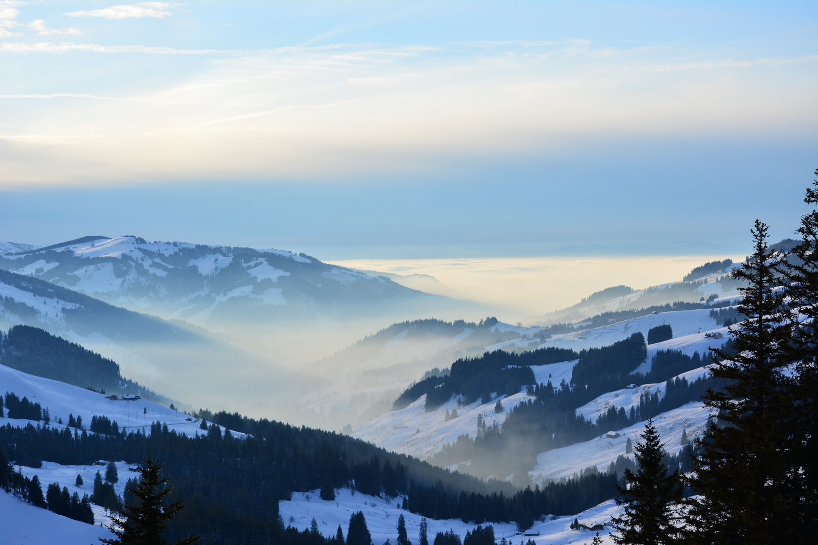 Nebel im Tal