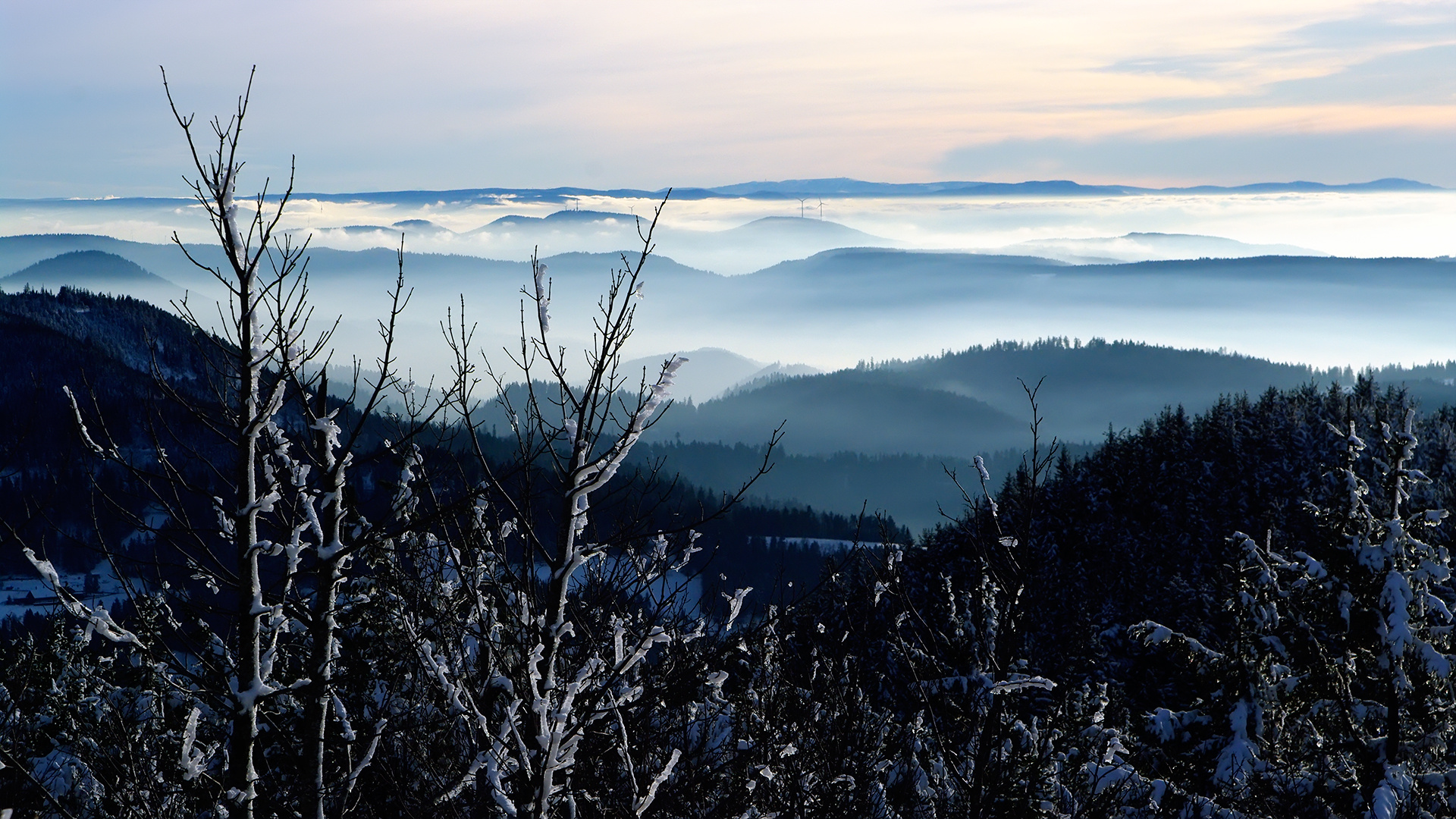 Nebel im Tal