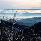 Nebel im Tal