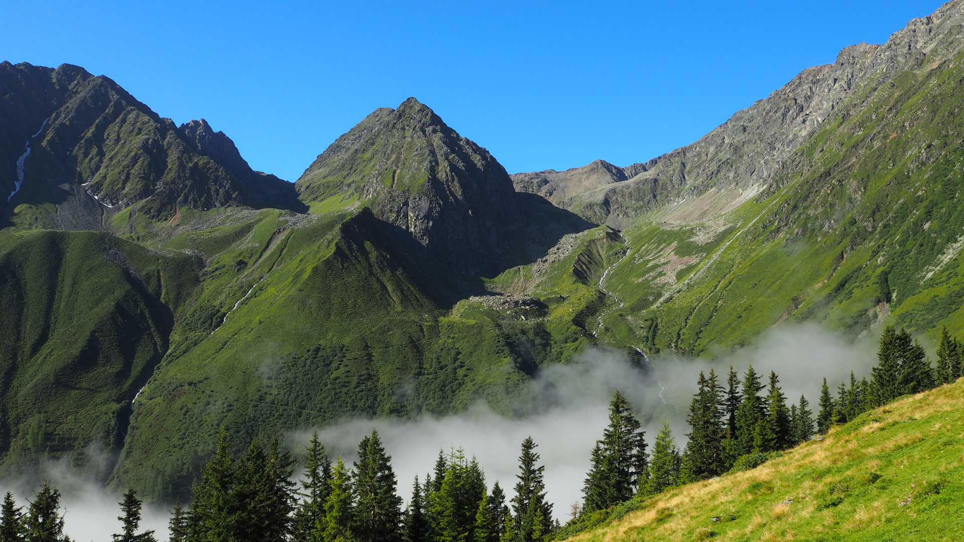 Nebel im Tal