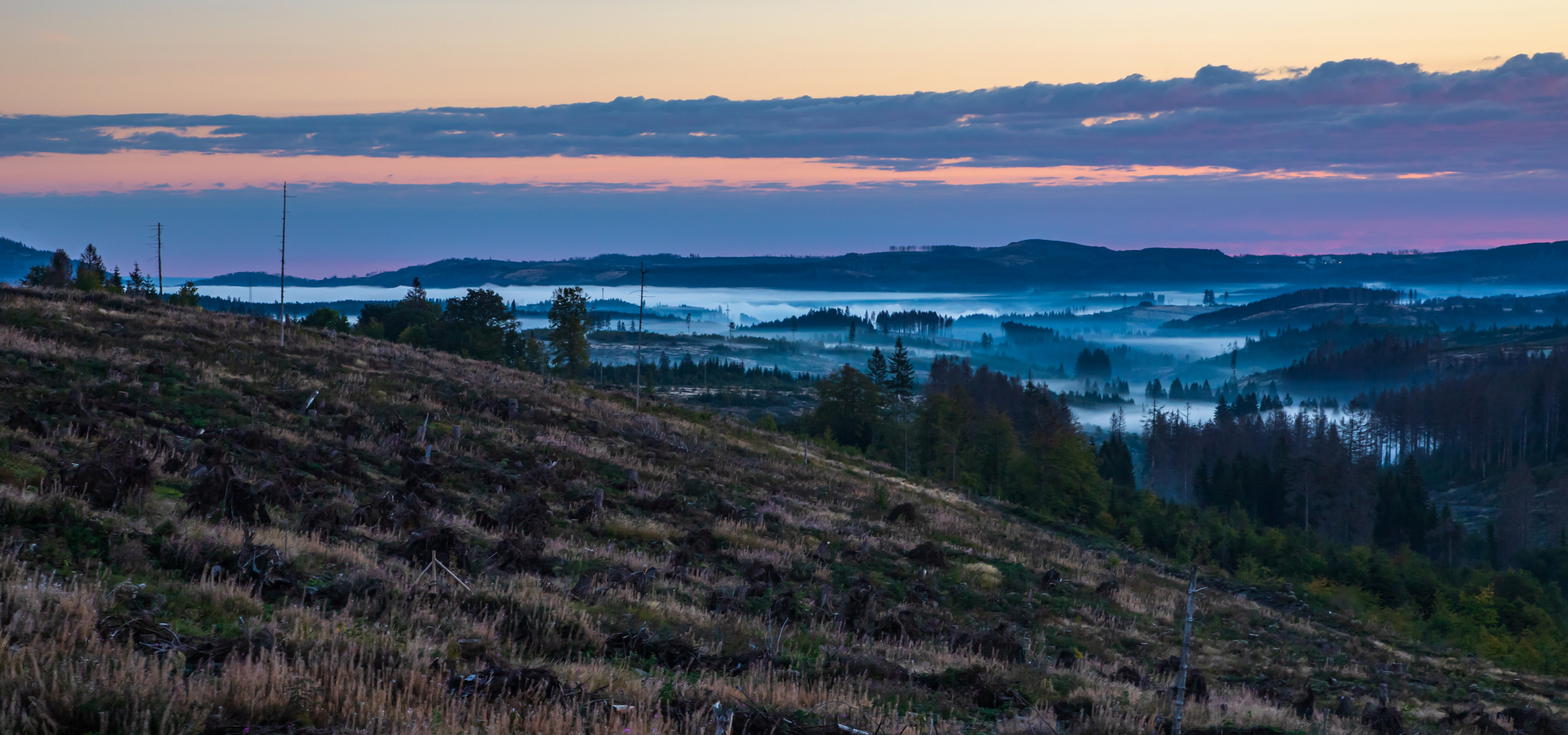 Nebel im Tal