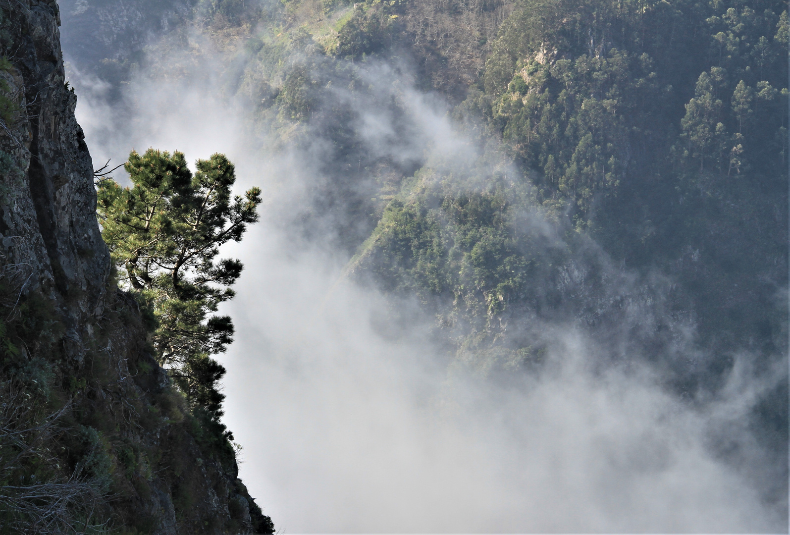 Nebel im Tal 