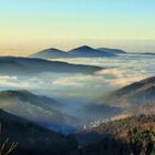 Nebel im Tal