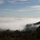 Nebel im Tal CO-8