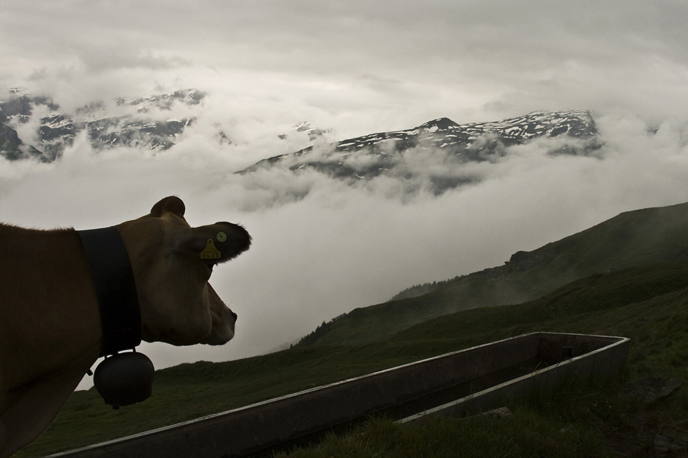 Nebel im Tal