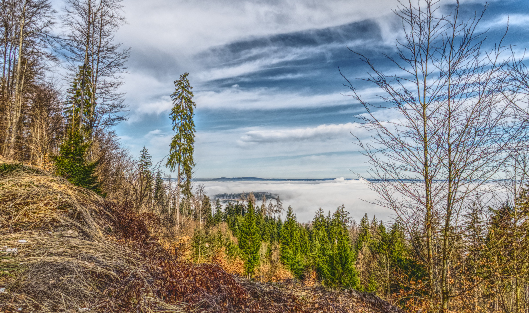 Nebel im Tal