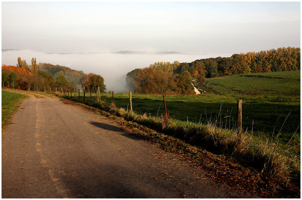 Nebel im Tal