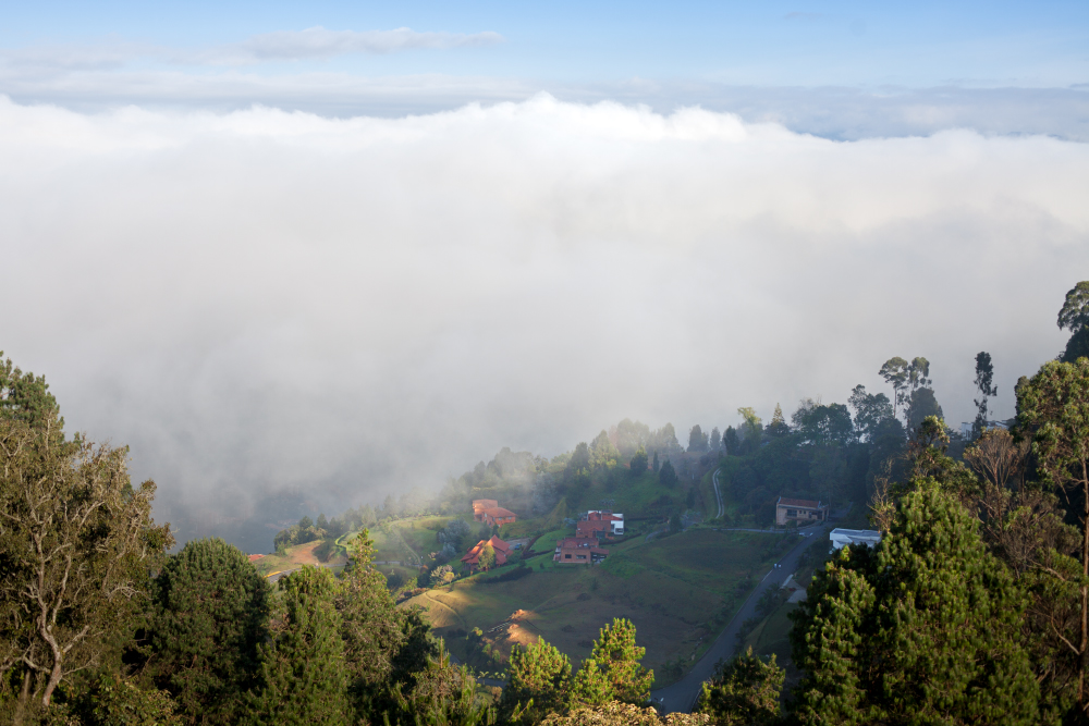 Nebel im Tal